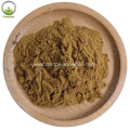 Highest selling angelica root extract